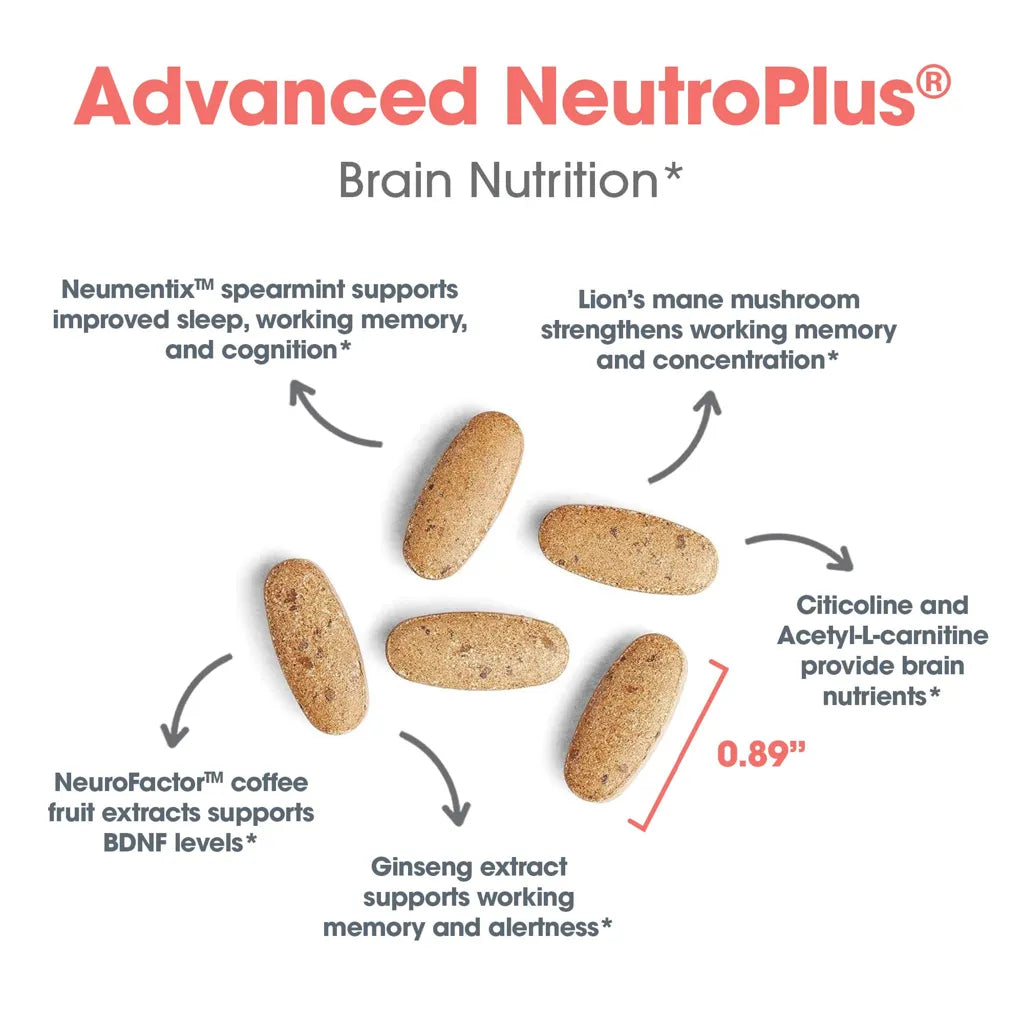 Advanced NeuroPlus