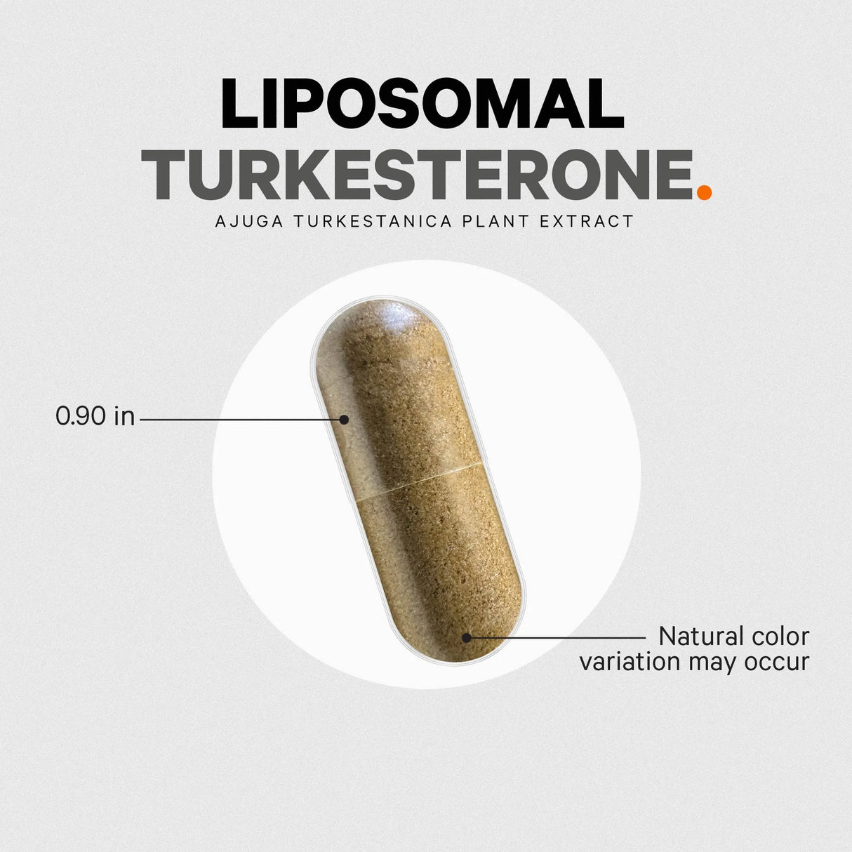 Liposomal Turkesterone+