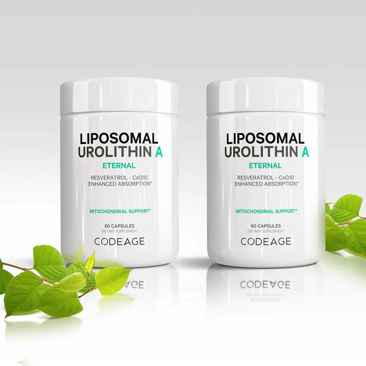 Liposomal Urolithin A