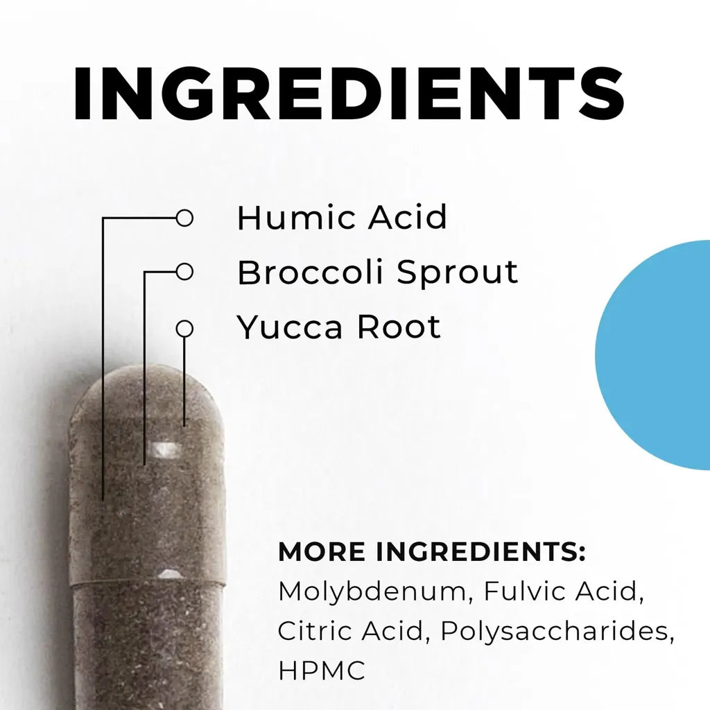 BioToxin Binder by CellCore Ingredients