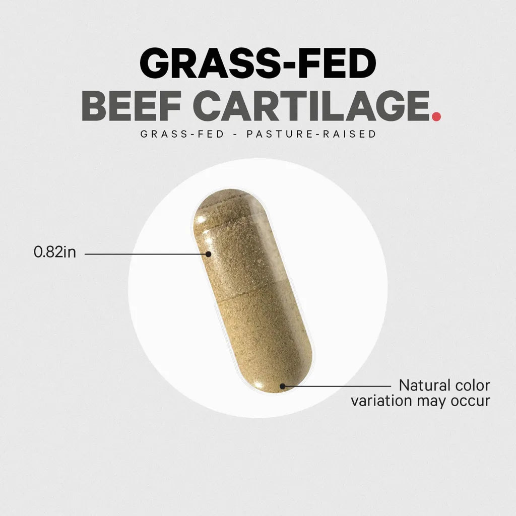 Grass Fed Beef Cartilage by Codeage Example Supplement