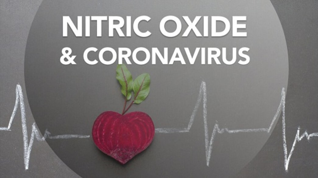 Healthy Heart, Clot Prevention and Nitric Oxide Production