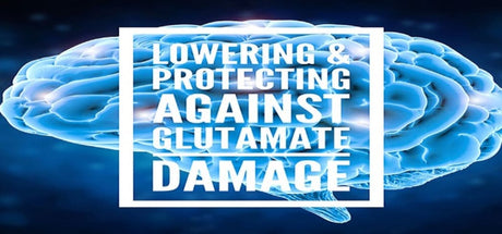 Balancing Your Glutamate Neurotransmitter Level