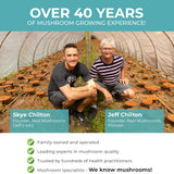 5 Defenders Mushroom Powder by Real Mushrooms Promotional HIstory