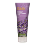 Bulgarian Lavender Body Wash by Desert Essence