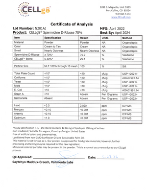 Lipo Spermidine