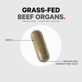 Grass Fed Beef Organs by Codeage Example Supplement