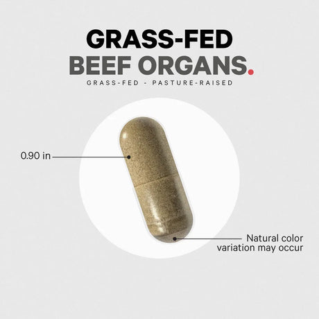 Grass Fed Beef Organs by Codeage Example Supplement