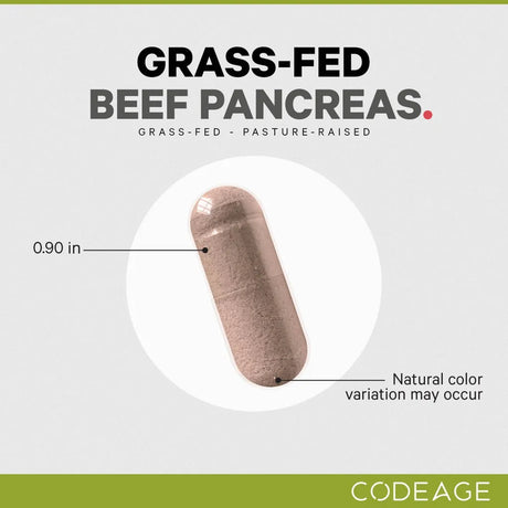 Grass Fed Beef Pancreas by Codeage Example Supplement