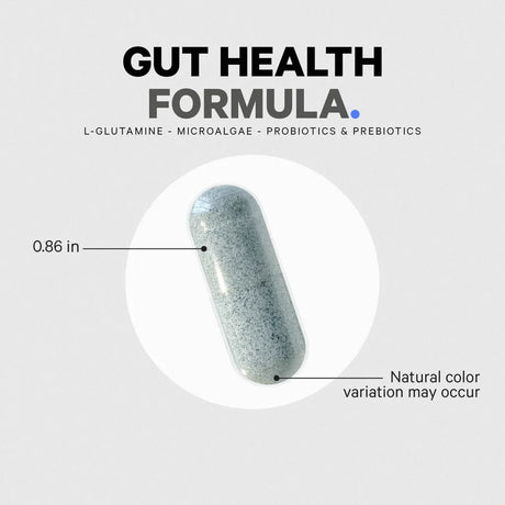 Gut Health Formula by Codeage Example Supplement