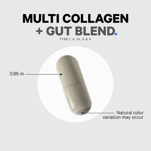 Multi Collagen + Gut Blend by Codeage Example Supplement